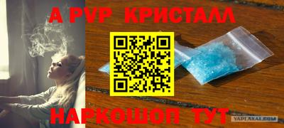 крисы Будённовск
