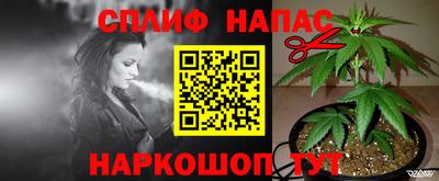 крисы Будённовск