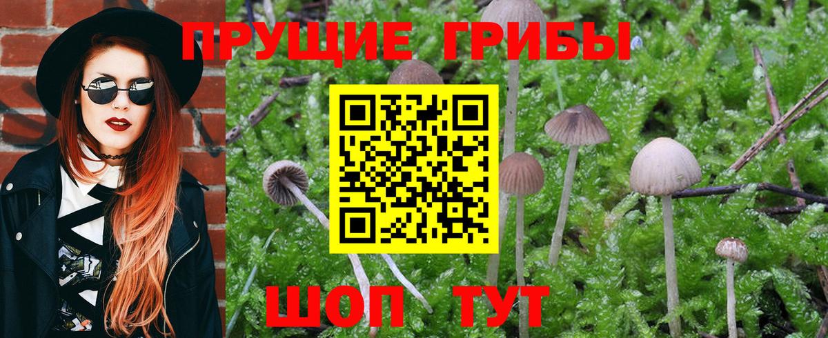 Галлюциногенные грибы MAGIC MUSHROOMS Новый Уренгой